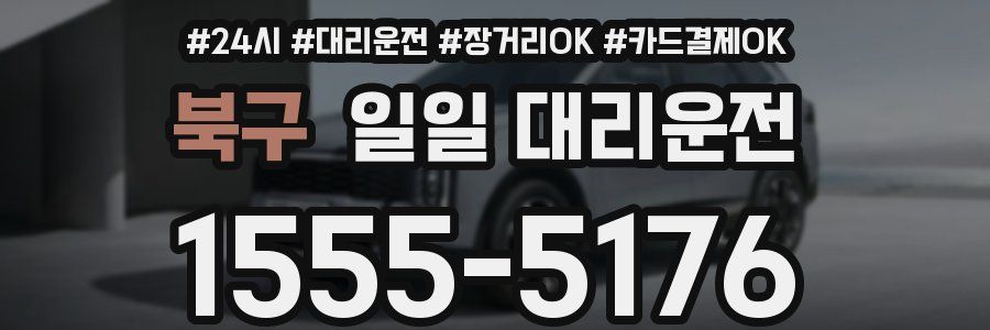 북구 일일 대리운전