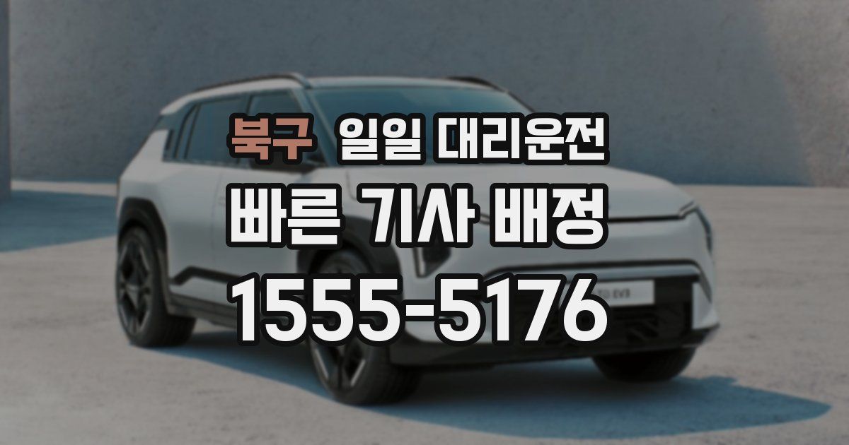북구 일일 대리운전
