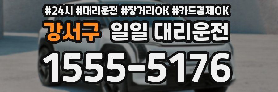 강서구 일일 대리운전