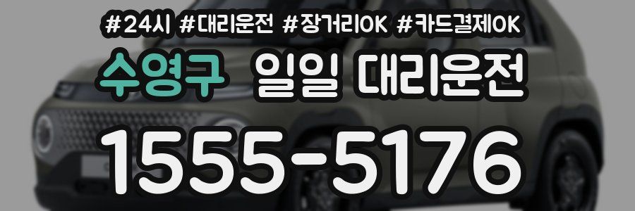 수영구 일일 대리운전