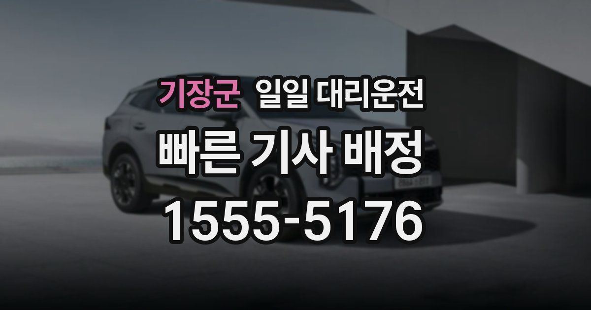 기장군 일일 대리운전