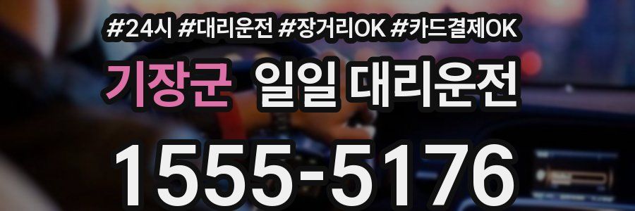 기장군 일일 대리운전