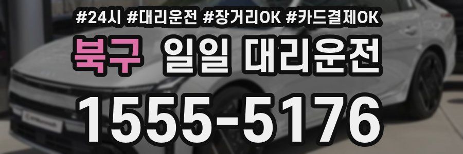 북구 일일 대리운전