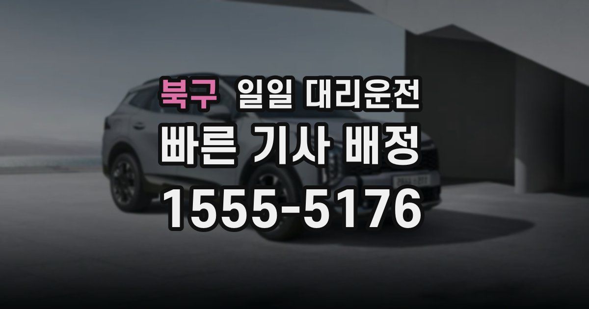 북구 일일 대리운전