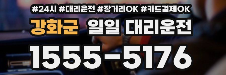 강화군 일일 대리운전