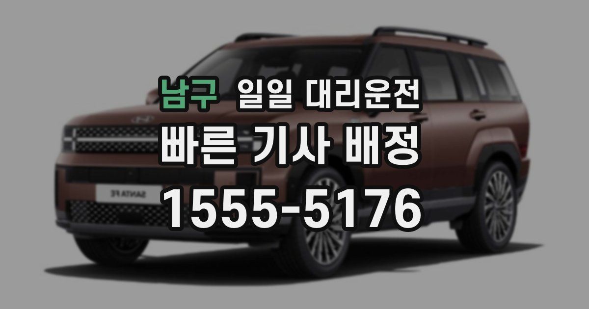 남구 일일 대리운전