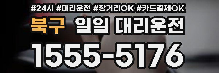 북구 일일 대리운전