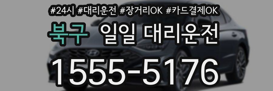 북구 일일 대리운전
