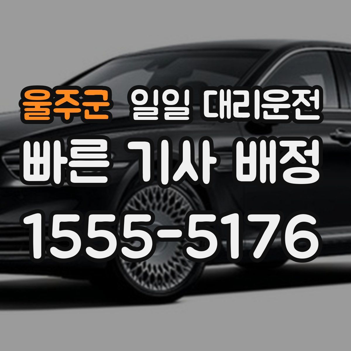 울주군 일일 대리운전