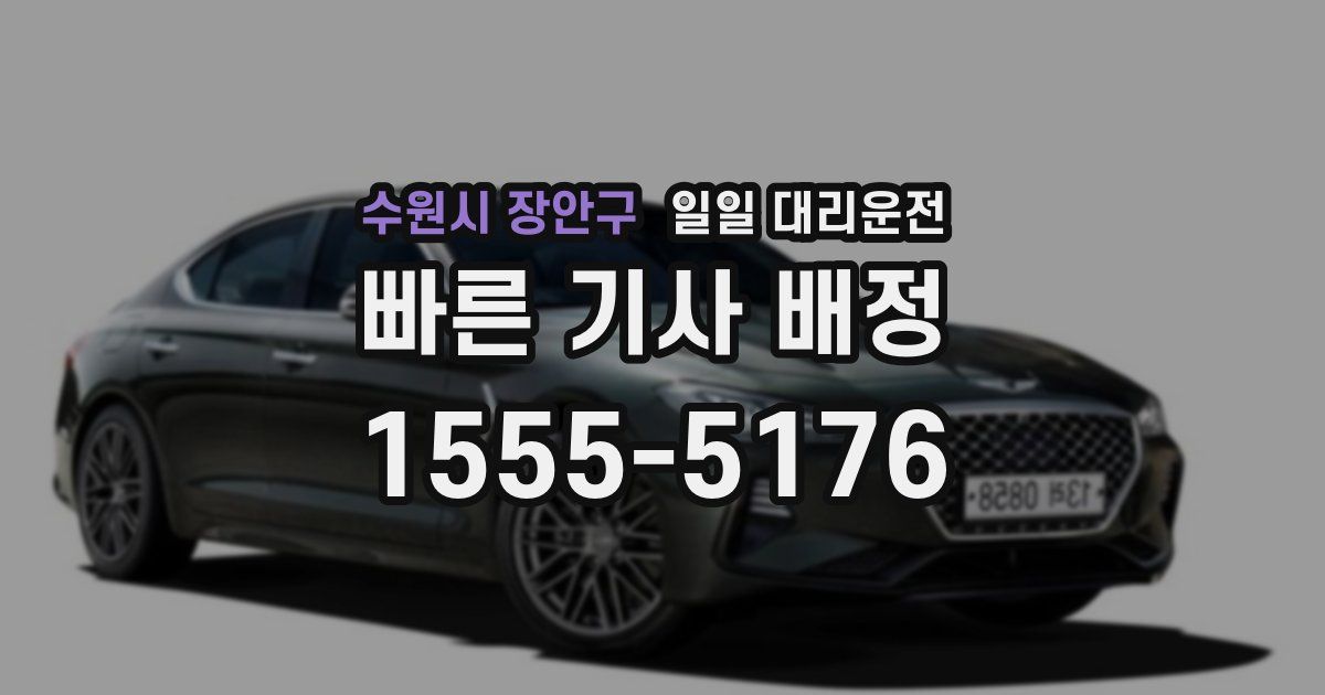 수원시 장안구 일일 대리운전