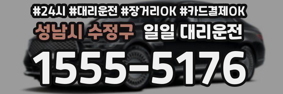성남시 수정구 일일 대리운전