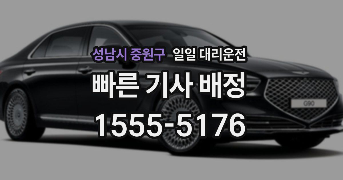 성남시 중원구 일일 대리운전