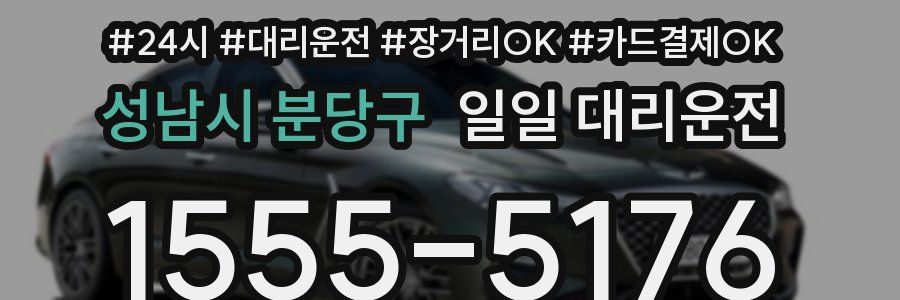 성남시 분당구 일일 대리운전