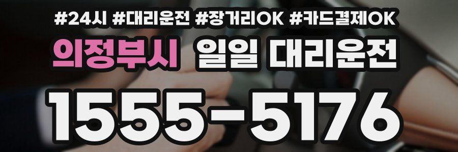의정부시 일일 대리운전