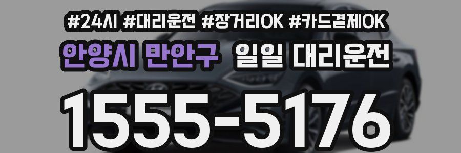 안양시 만안구 일일 대리운전