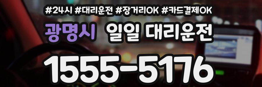 광명시 일일 대리운전