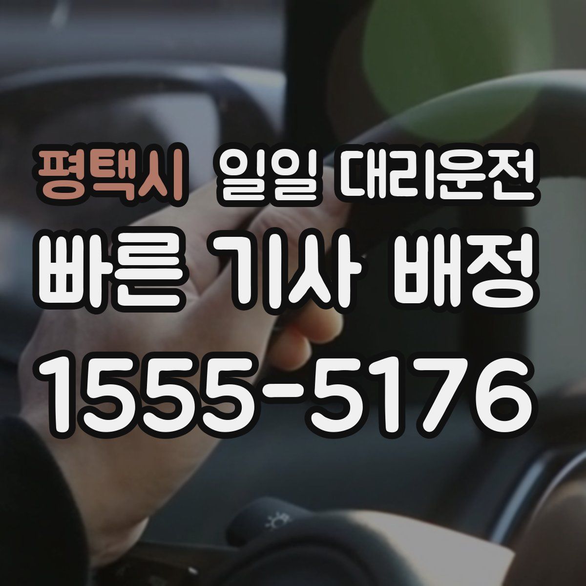 평택시 일일 대리운전