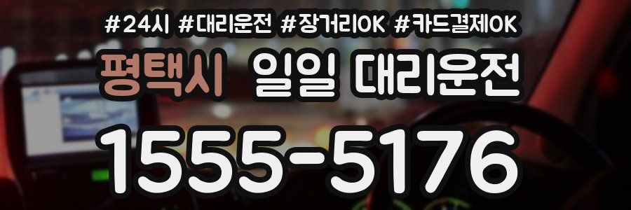 평택시 일일 대리운전