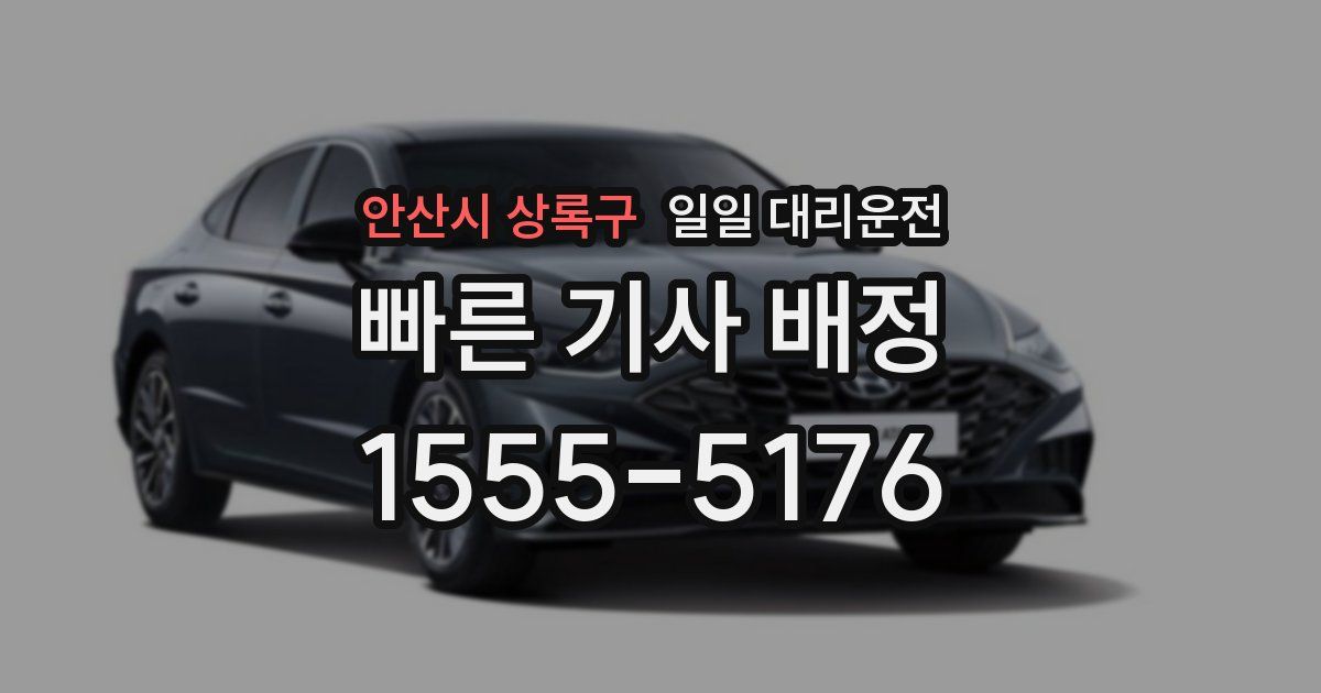 안산시 상록구 일일 대리운전