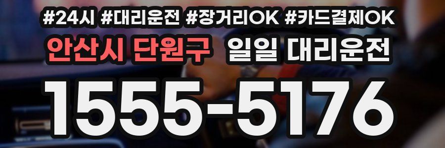 안산시 단원구 일일 대리운전
