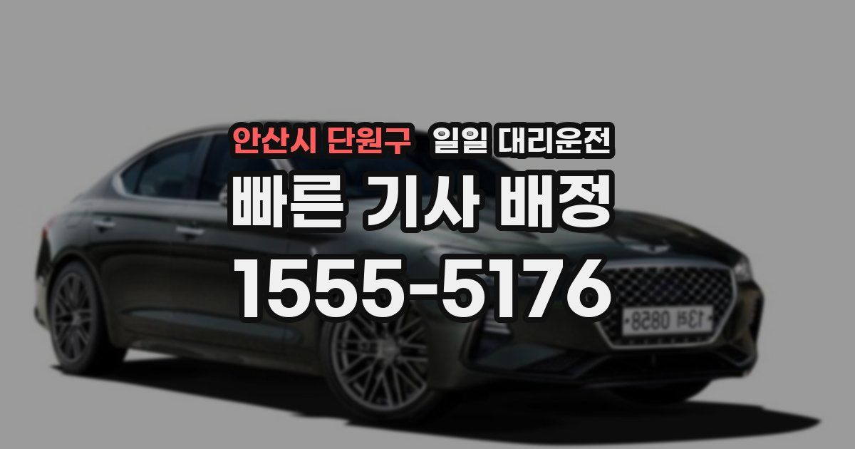 안산시 단원구 일일 대리운전