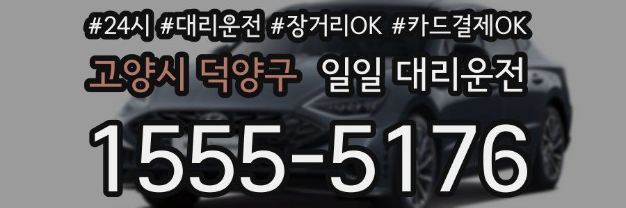 고양시 덕양구 일일 대리운전