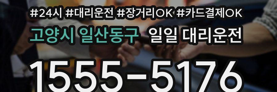 고양시 일산동구 일일 대리운전