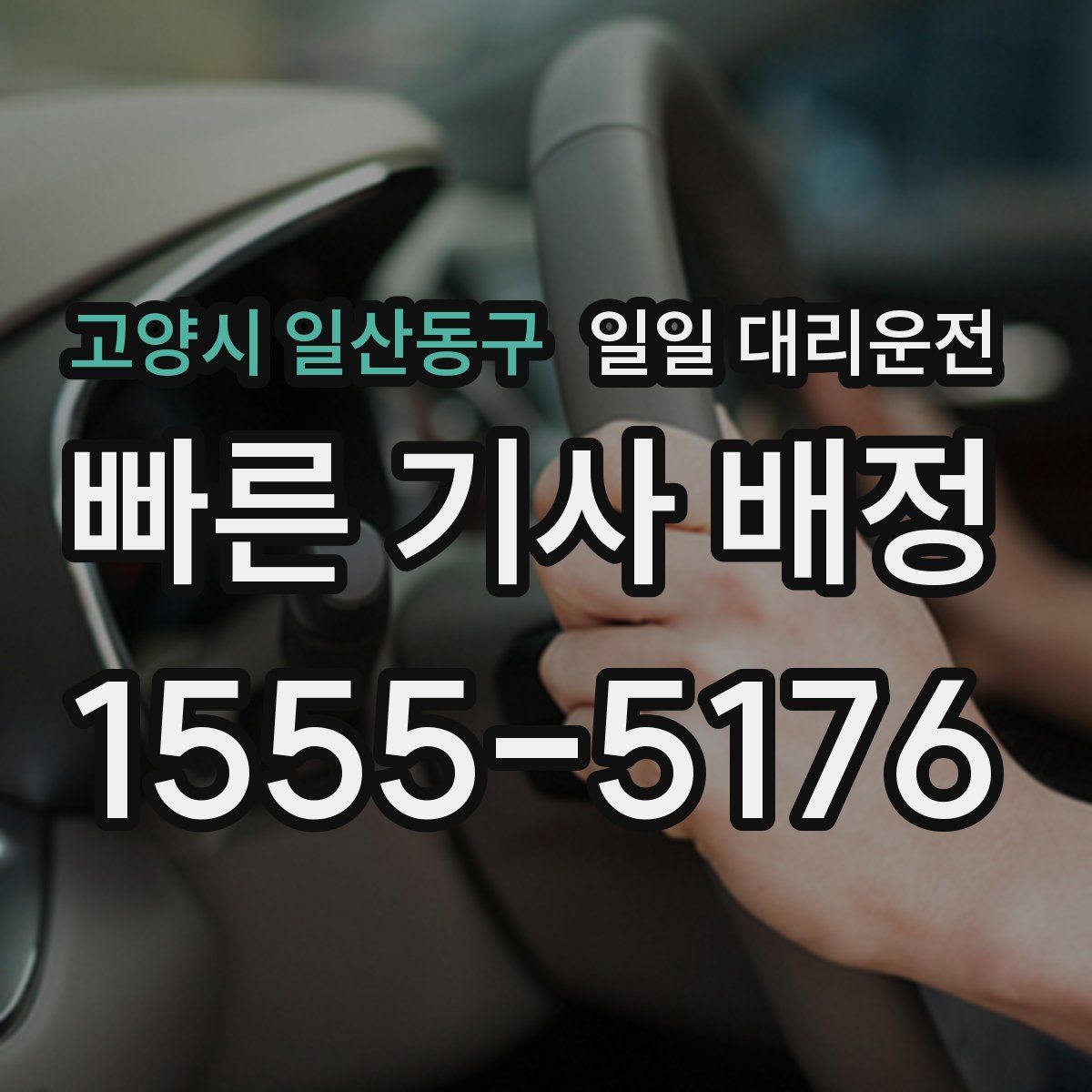 고양시 일산동구 일일 대리운전