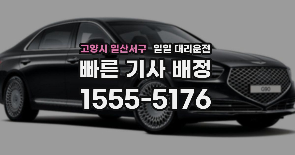 고양시 일산서구 일일 대리운전