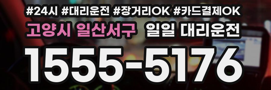 고양시 일산서구 일일 대리운전