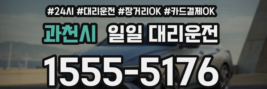 과천시 일일 대리운전