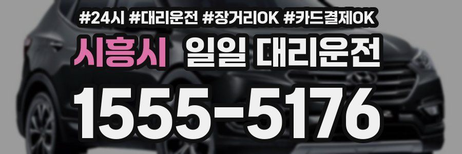 시흥시 일일 대리운전