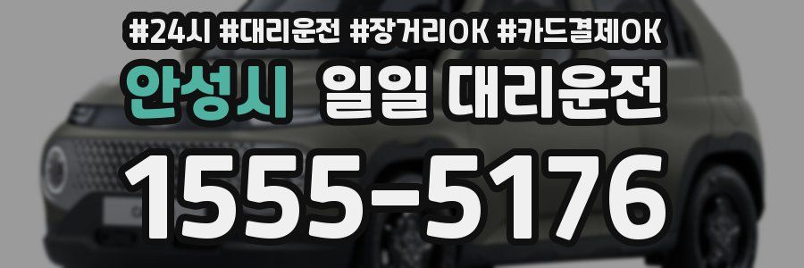 안성시 일일 대리운전