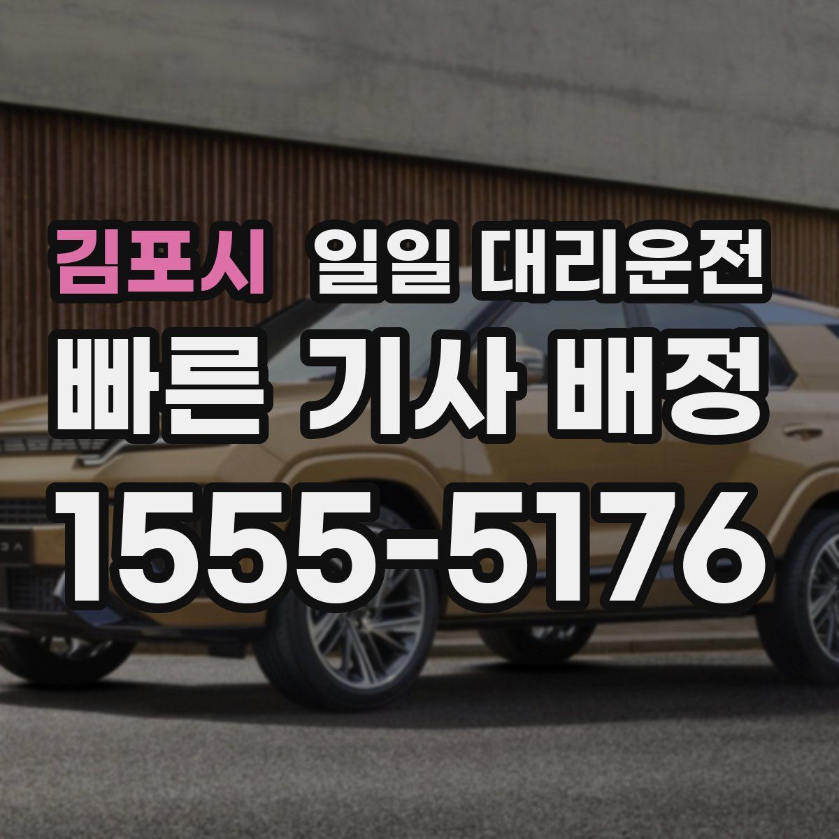 김포시 일일 대리운전