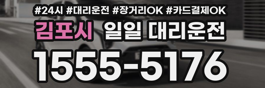 김포시 일일 대리운전