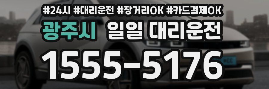 광주시 일일 대리운전