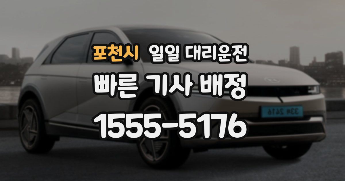 포천시 일일 대리운전