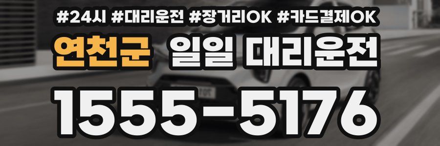 연천군 일일 대리운전