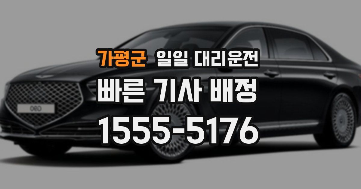 가평군 일일 대리운전