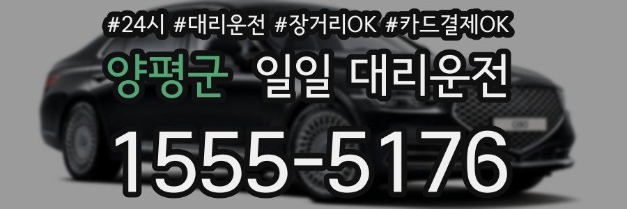 양평군 일일 대리운전