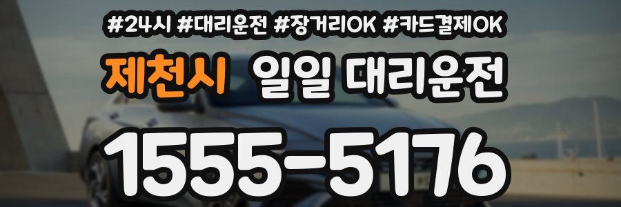 제천시 일일 대리운전