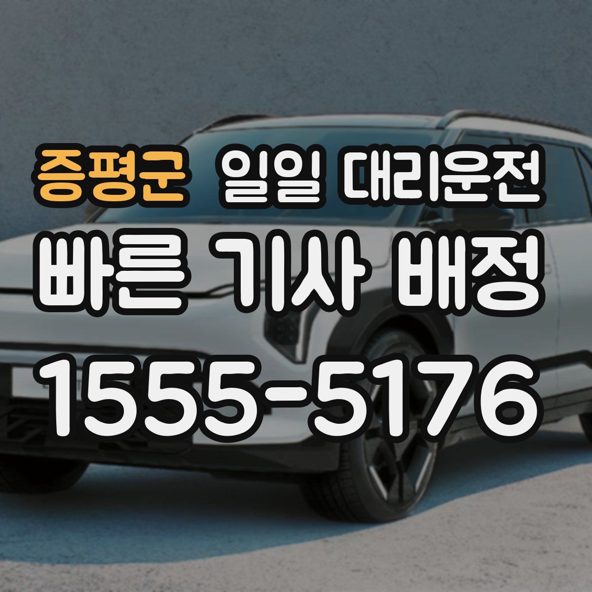 증평군 일일 대리운전