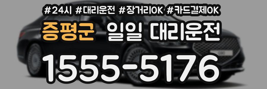 증평군 일일 대리운전