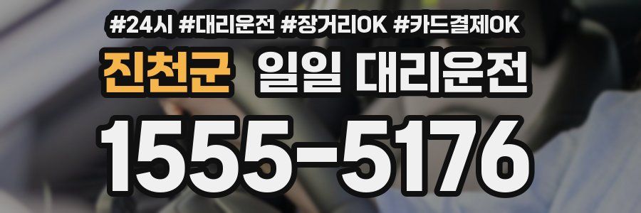 진천군 일일 대리운전