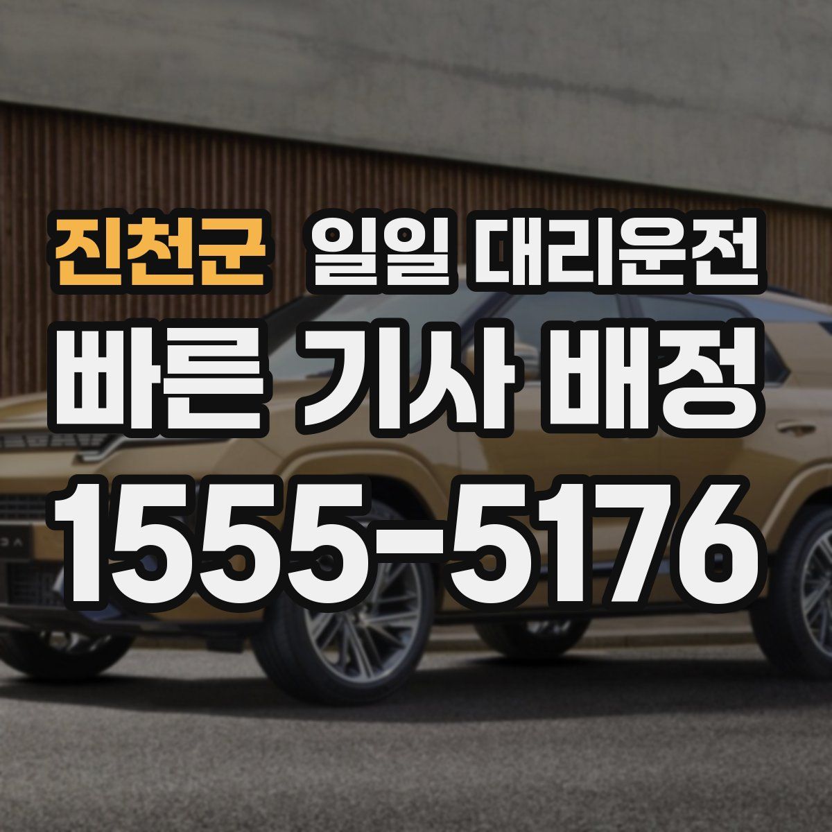진천군 일일 대리운전