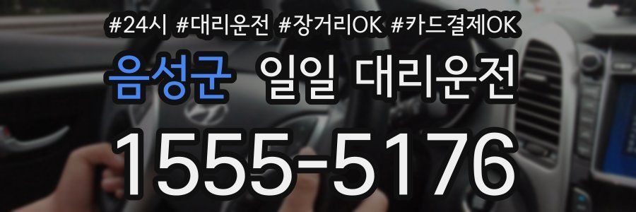 음성군 일일 대리운전