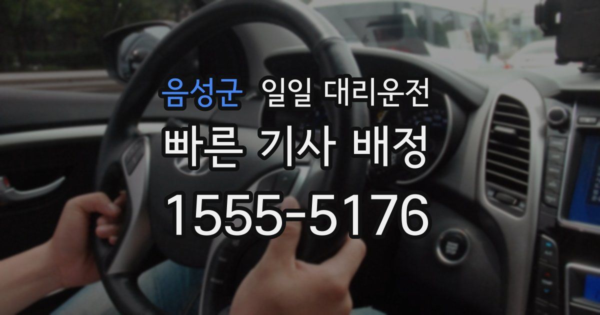 음성군 일일 대리운전
