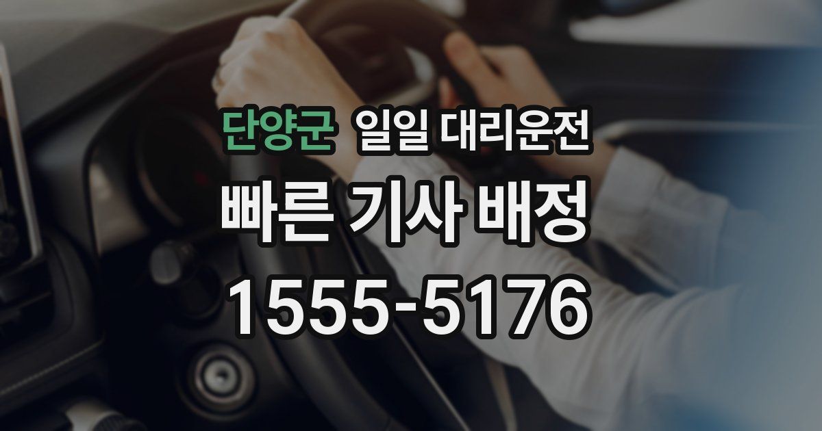 단양군 일일 대리운전
