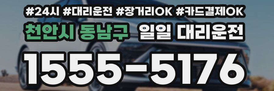 천안시 동남구 일일 대리운전