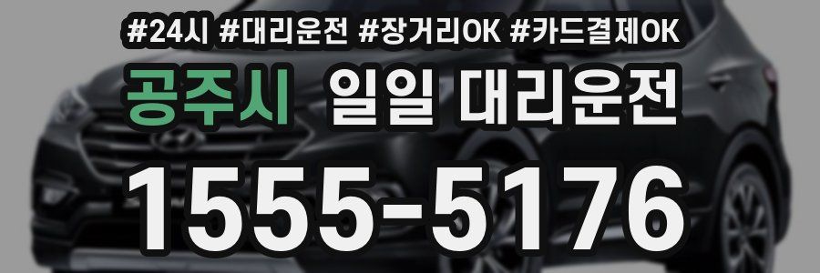 공주시 일일 대리운전